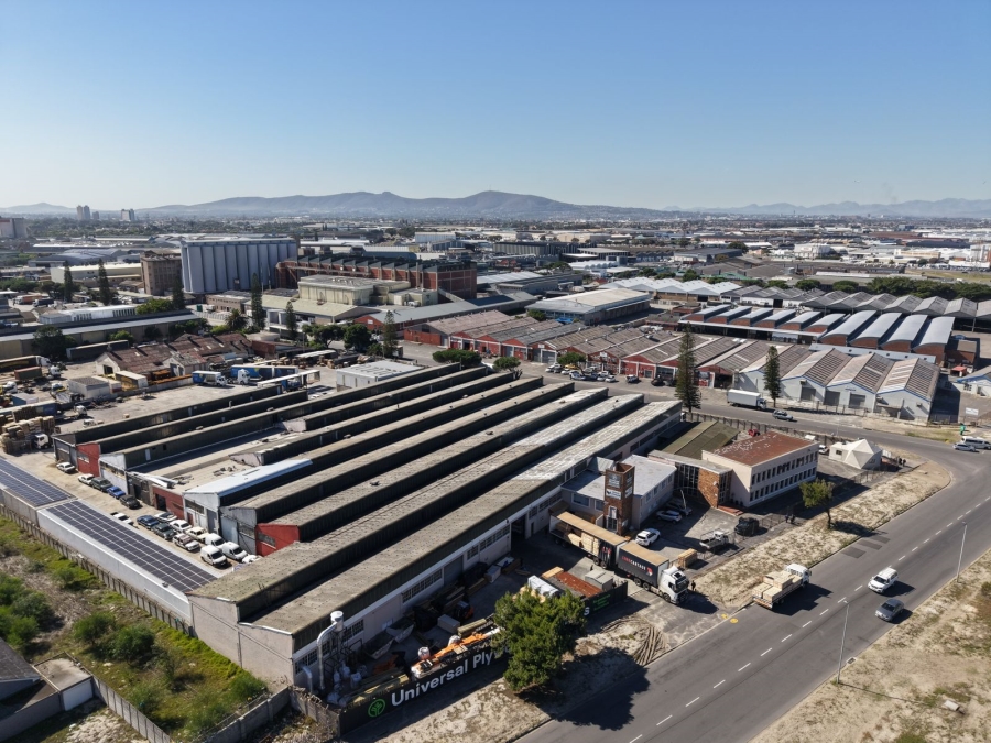To Let Commercial Property for Rent in Epping Industrial Western Cape